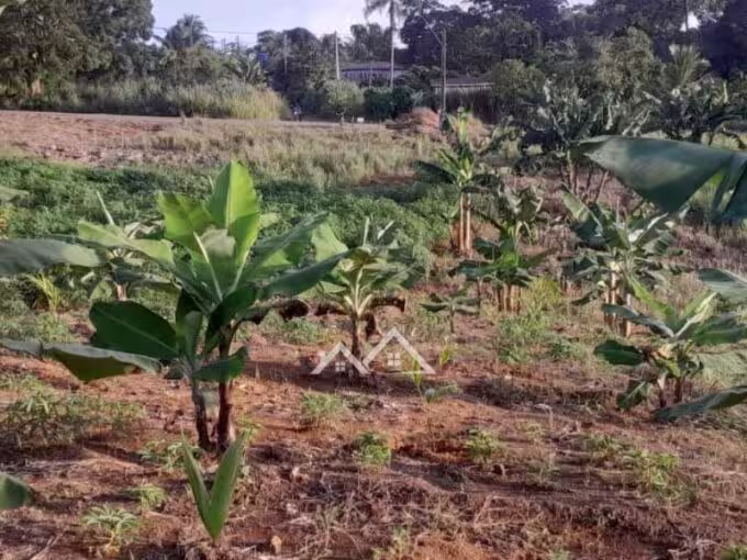 Chácara à venda no bairro Mutirão em Ariquemes-RO