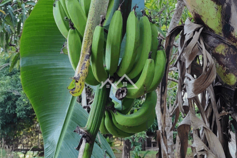 Imóvel - 2025-10-31T161351.802