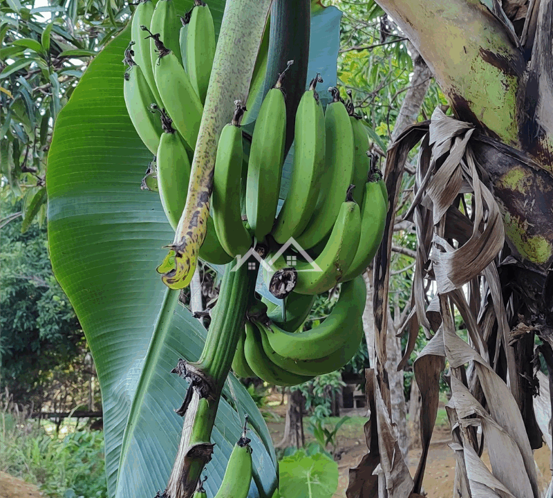 Imóvel - 2025-10-31T161351.802