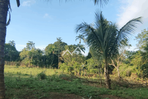 Imóvel - 2025-10-31T161505.623