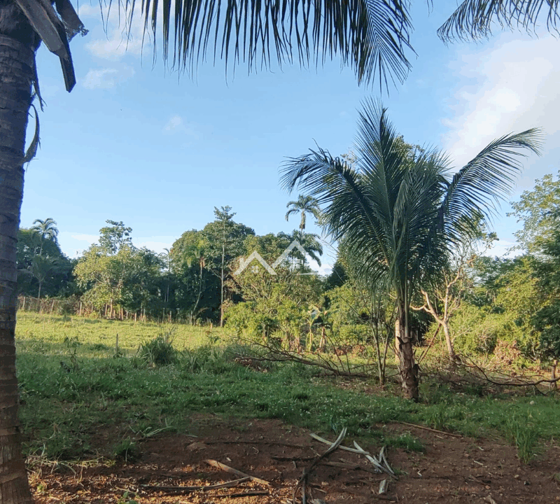 Imóvel - 2025-10-31T161505.623