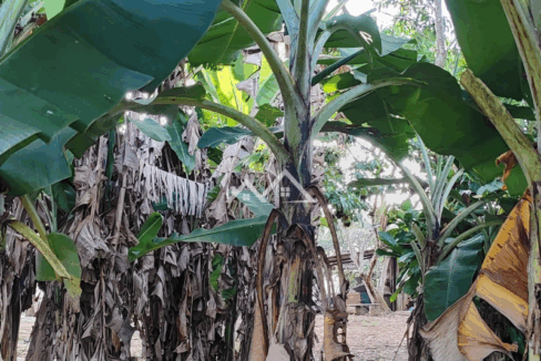 Imóvel - 2025-10-31T162130.123