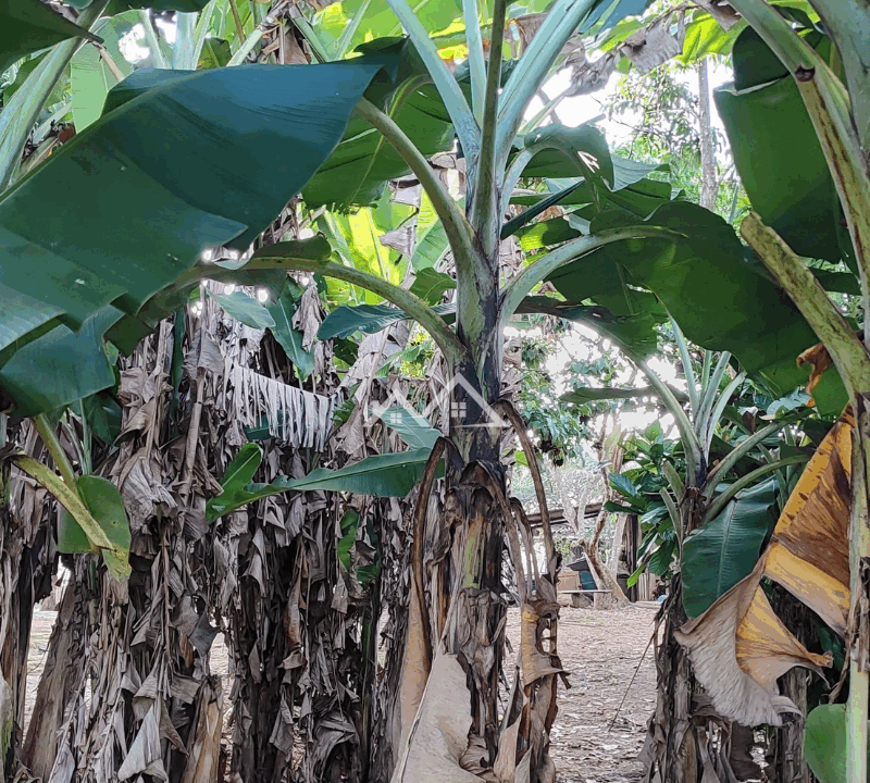 Imóvel - 2025-10-31T162130.123