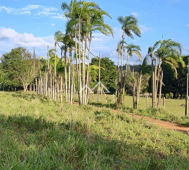 Imóvel - 2025-10-31T162211.922