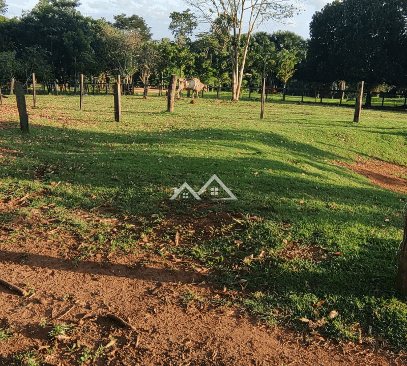 Imóvel - 2025-10-31T162403.982