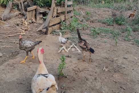 Imóvel - 2025-10-31T162522.982