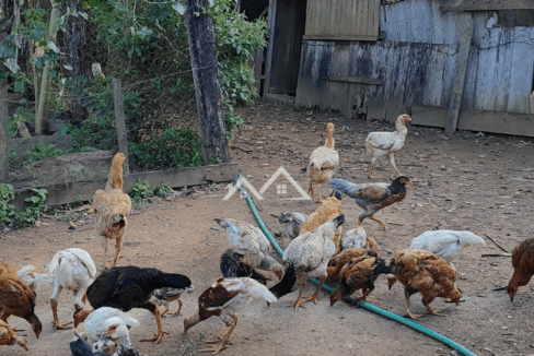 Imóvel - 2025-10-31T162634.138