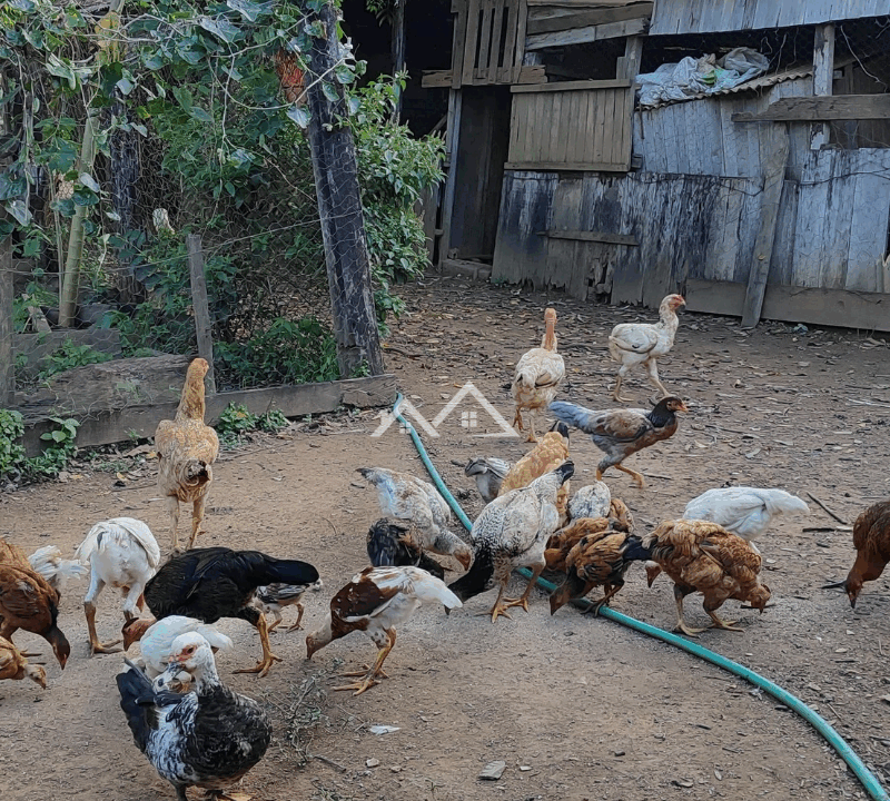 Imóvel - 2025-10-31T162634.138