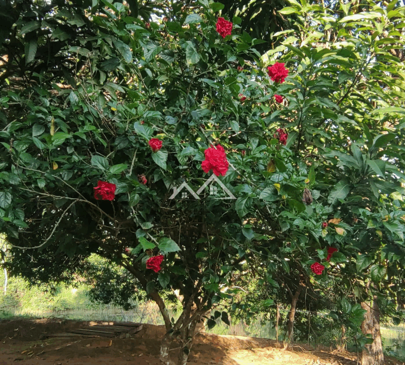 Imóvel - 2025-10-31T162652.103