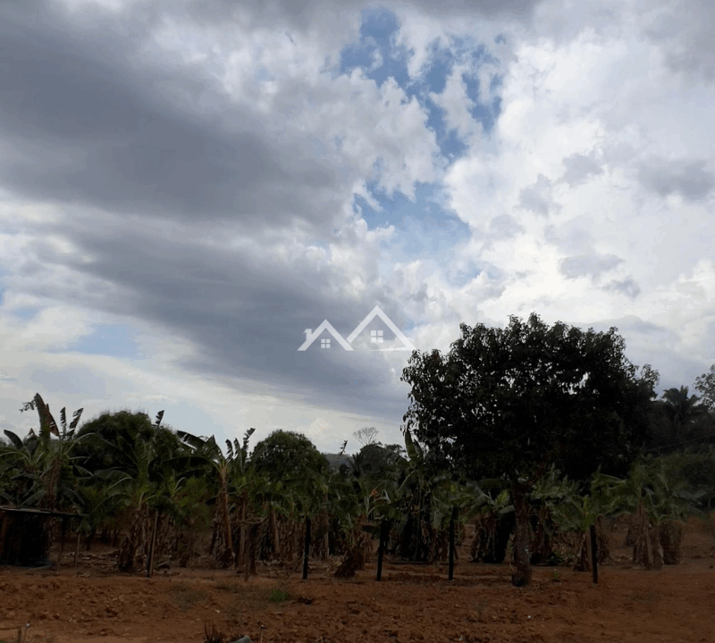 Imóvel - 2025-11-14T104124.223