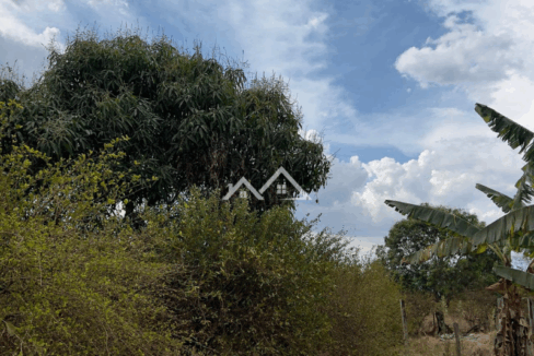 Imóvel - 2025-11-14T104144.794