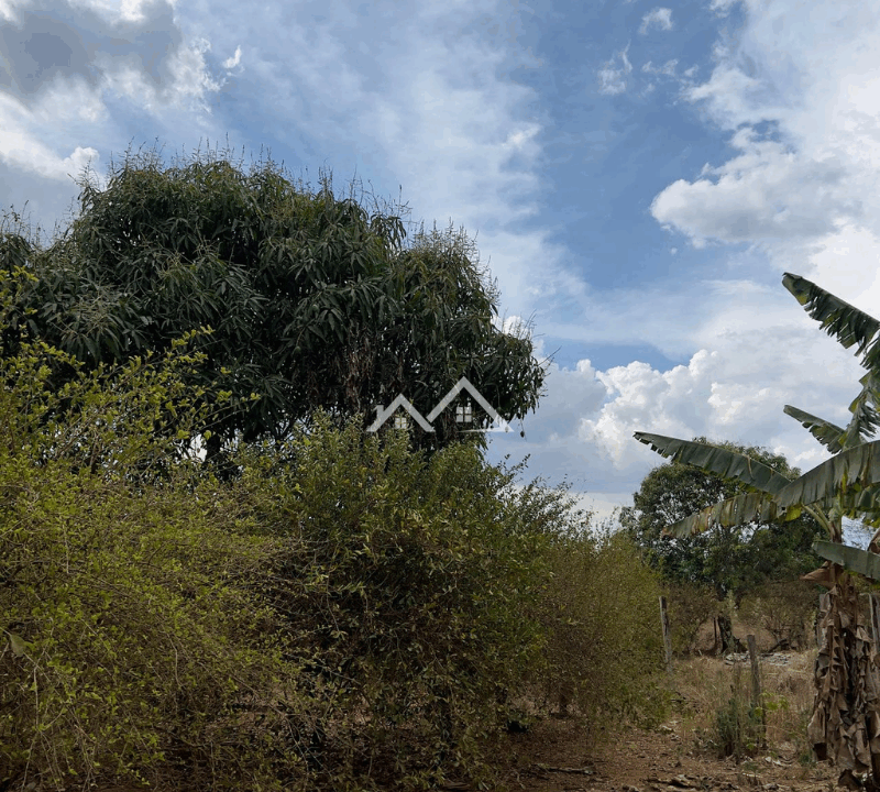 Imóvel - 2025-11-14T104144.794