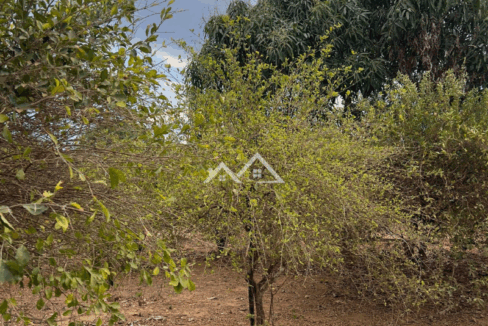 Imóvel - 2025-11-14T104154.346