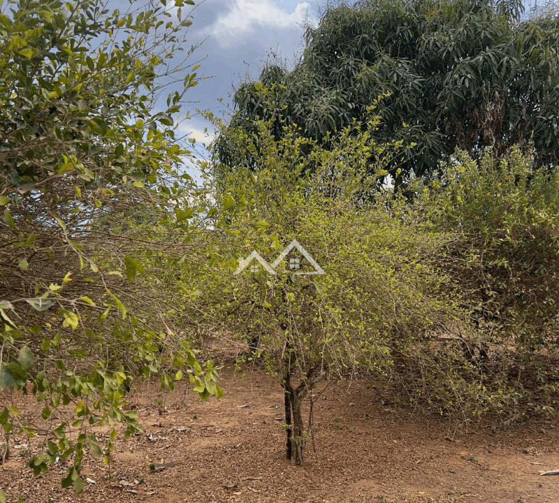 Imóvel - 2025-11-14T104154.346