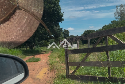 Copia-de-Inserir-um-subtitulo-2025-01-31T165601.253