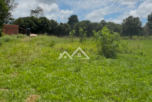 Copia-de-Inserir-um-subtitulo-2025-01-31T165615.218