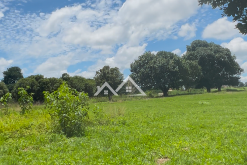 Copia-de-Inserir-um-subtitulo-2025-01-31T165631.884