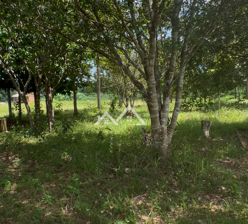 Copia-de-Inserir-um-subtitulo-2025-01-31T165648.777