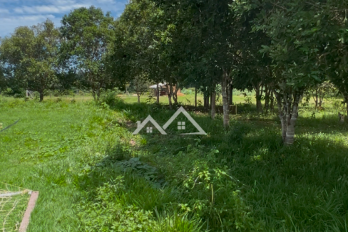 Copia-de-Inserir-um-subtitulo-2025-01-31T165702.731