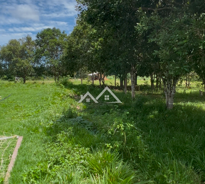 Copia-de-Inserir-um-subtitulo-2025-01-31T165702.731