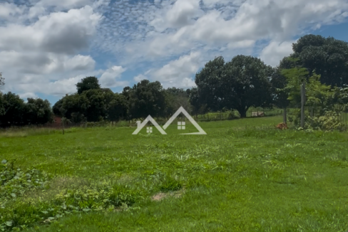 Copia-de-Inserir-um-subtitulo-2025-01-31T165719.335