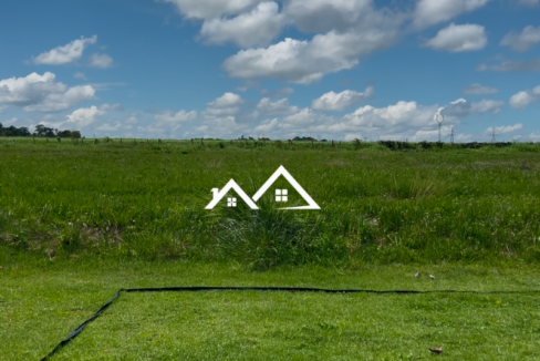 Copia-de-Inserir-um-subtitulo-2025-01-31T165810.232