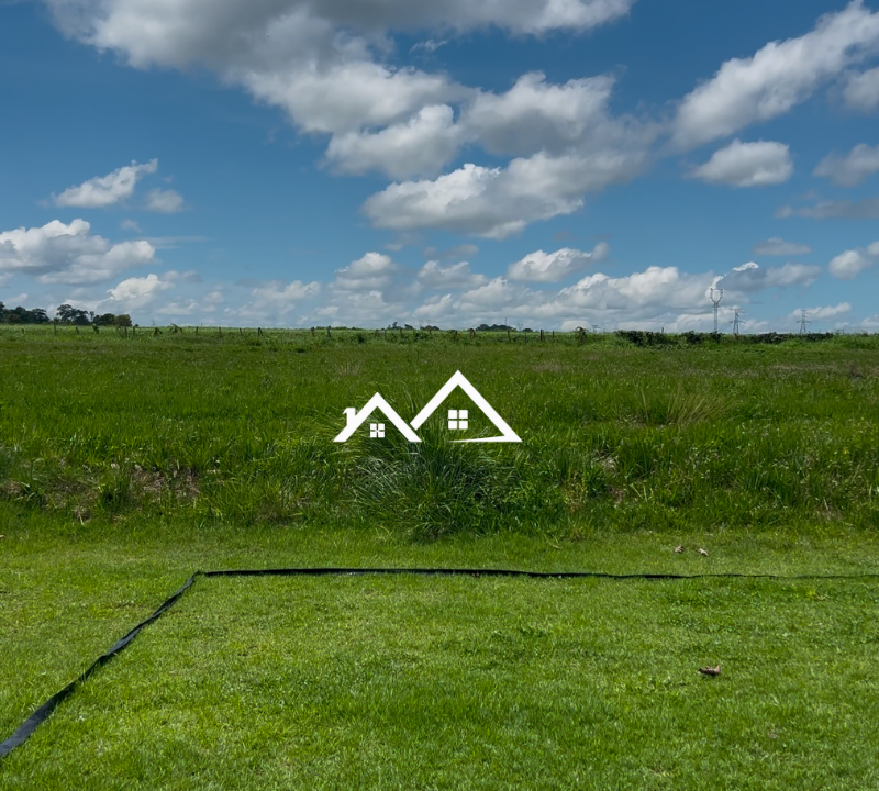 Copia-de-Inserir-um-subtitulo-2025-01-31T165810.232