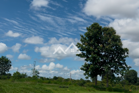 Copia-de-Inserir-um-subtitulo-2025-01-31T165912.700