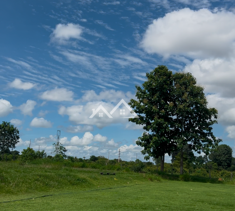 Copia-de-Inserir-um-subtitulo-2025-01-31T165912.700