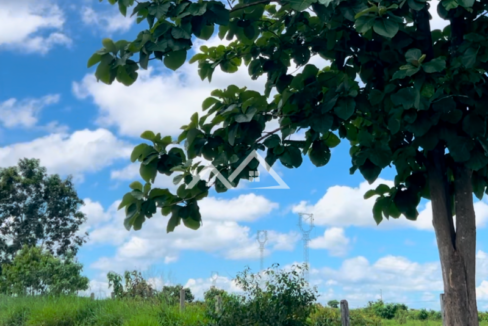 Copia-de-Inserir-um-subtitulo-2025-01-31T165948.451