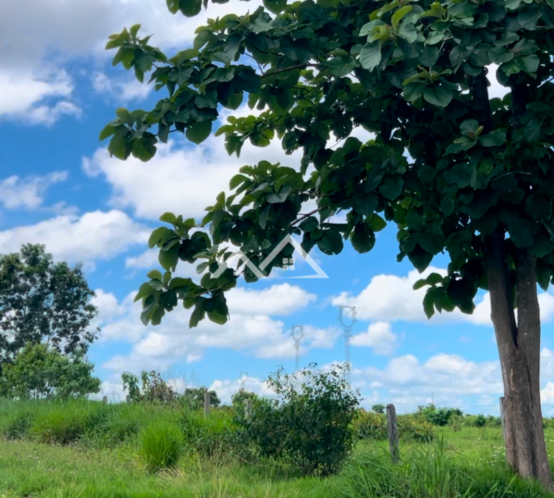 Copia-de-Inserir-um-subtitulo-2025-01-31T165948.451