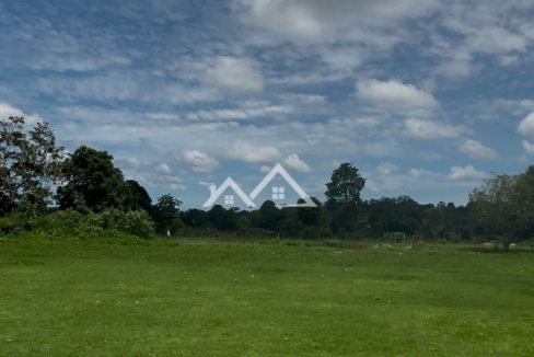 Copia-de-Inserir-um-subtitulo-2025-01-31T170030.351