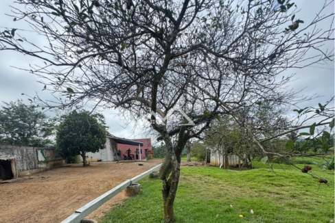 Imóvel - 53