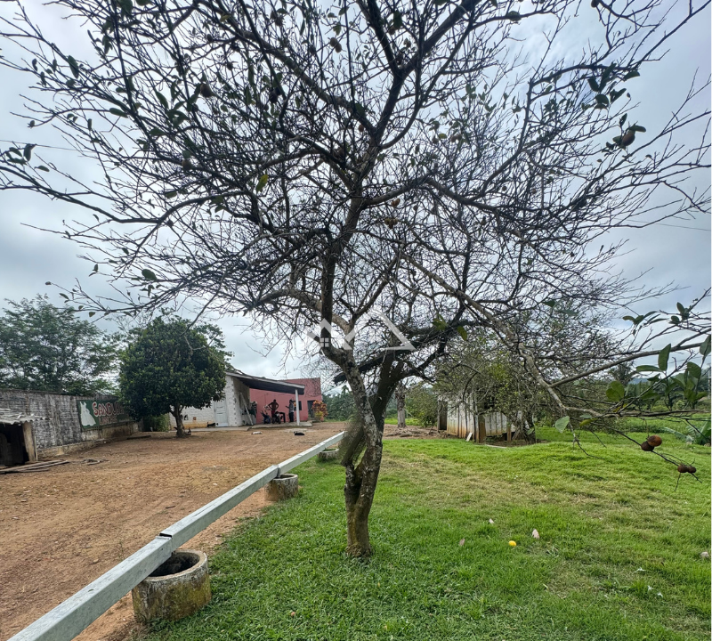 Imóvel - 53