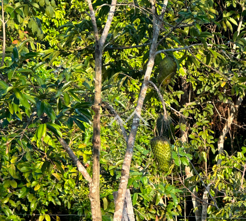 Imóvel - 38